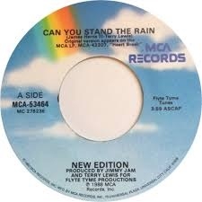 New Edition Can You Stand The Rain 1989 With Song Lyrics