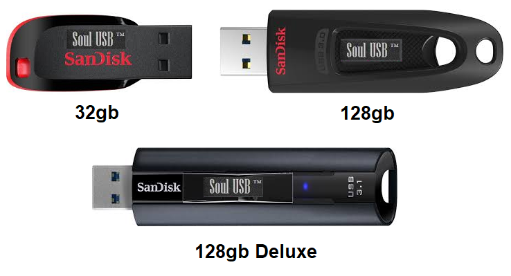 Sandisk Soul USB Drive